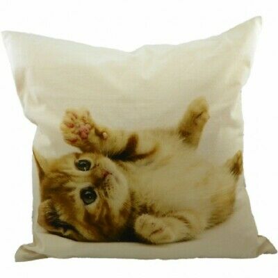 Kissen Katze 50x50cm