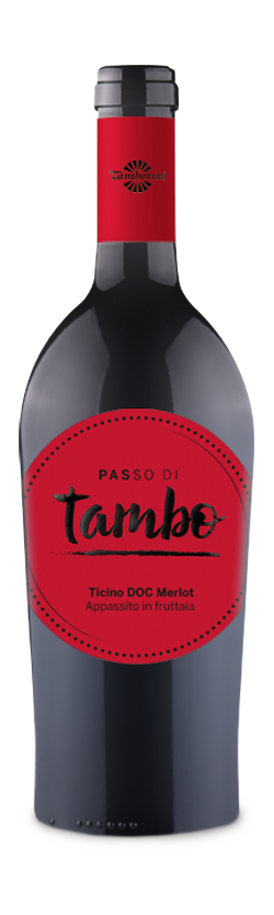 2022 Merlot Passo di Tambo Tamborini