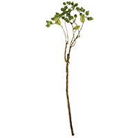 Heidelbeeren Zweig L 95cm